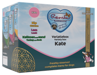 Renske Variatiebox Kate vers gestoomd natvoer hond (tetra) 2 trays (24 x 395 g) - thumbnail
