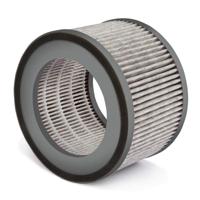 Soehnle 68106 airfresh clean 300 vervangfilter - thumbnail