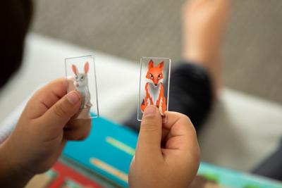 SmartGames Down The Rabbit Hole reisspel