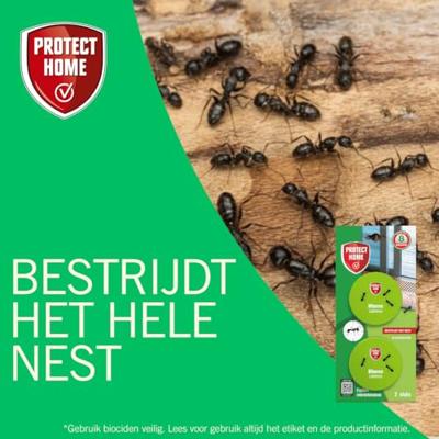 Protect Home Mieren Lokdoos Protect Home Mieren Lokdoos