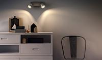 Philips myLiving Spotlamp County RVS 2-spot - thumbnail