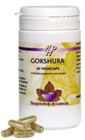 Holisan Gokshura Capsules 60st - thumbnail