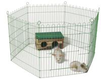 Draadren zesdelig in folie groen Gebr de Boon - Gebr de boon - thumbnail