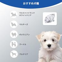 FARMINA N&D Zeebaars, Spirulina en Venkel Adult Mini - droog hondenvoer - 2 kg - thumbnail