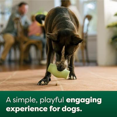 Earth Rated treat toy rubber