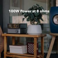 WiiM: Vibelink Amp streaming versterker - Grey - thumbnail