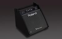 Roland PM-100 - thumbnail