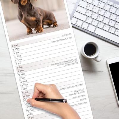 Teckel Kalender 2026 Slimline Teckel Kalender 2026 Slimline