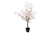 Decostar Pyrus S plant 110 cm roze - thumbnail