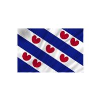 Dokkumer Vlaggen Centrale Vlag friesland 50x75 cm spun-poly - thumbnail