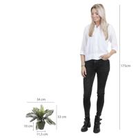 Decoratieve plant Mica Decorations Keramisch Palmboom (11,5 x 33 cm) - thumbnail