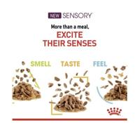 Royal Canin Sensory Smell natvoer kat (in saus) 1 doos (12 x 85 g) - thumbnail