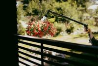 Fiskars Solid Tuinslang 13 mm (1/2”) 25 m - 1076060 - thumbnail