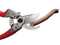 ARS Snoeischaar VS-8XZ 20cm, M, rood - thumbnail