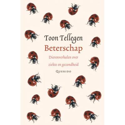 Beterschap (Hardback)