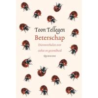 Beterschap - thumbnail