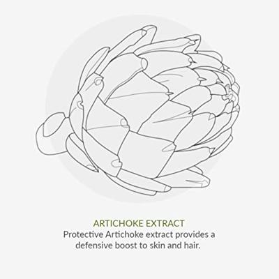 Green People Conditioner artichoke & quinoa 200 Milliliter