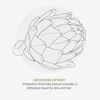 Green People Conditioner artichoke & quinoa 200 Milliliter - thumbnail