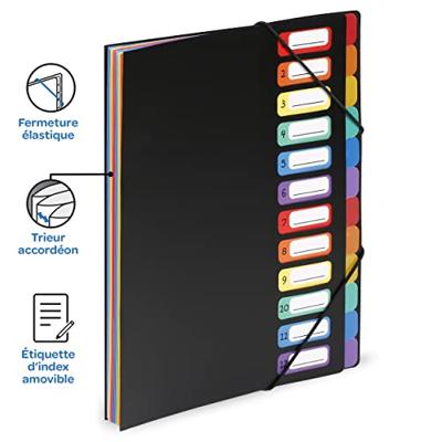 Viquel Rainbow Class sorteermap, ft A4, met 12 vakken