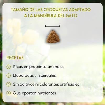 NUTRIVET - Binnenchat - Kat - Graanvrij voer - Gesteriliseerde of kat met overgewicht - Kip - 80% ingrediënten van dierlijke oorsprong - 1,5kg