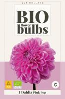 Bio dahlia pink pop - thumbnail