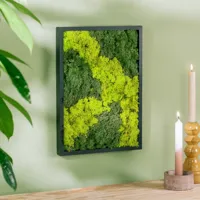 Mosschilderij Rechthoek - L - thumbnail