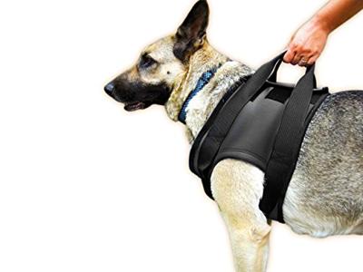 Revalidatie Tuig Hond - Voor - Maat S