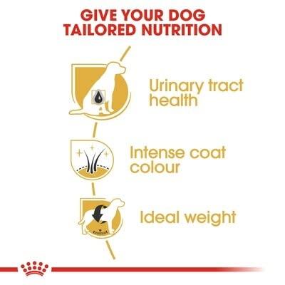Royal Canin Adult Mini Schnauzer hondenvoer 7,5 kg - thumbnail