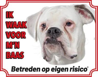 Boxer Wit Waakbord