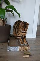 Croci krabplank homedecor dierenprint zebra - thumbnail