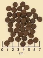 Wildcat - Adult Bhadra - droogvoer - 3 kg - kattenvoer - thumbnail