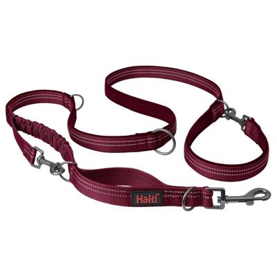 HALTI Anatomy multifunctionele hondenlijn - Reflecterende Lijn met schokabsorberend tussenstuk en twee clips, ideaal om honden te trainen en uit te laten. Geschikt voor puppy's (Maat S, Magenta)