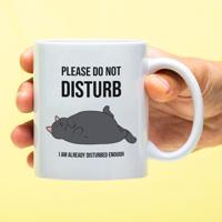 Mok Please Do Not Disturb - thumbnail