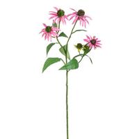 Kunstbloem Rudbeckia Spray - roze - 73 cm - Leen Bakker - thumbnail