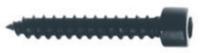 Visaton VS-5082 Screws (cylinder Head) 5 X 30 Mm Pu=24 St - thumbnail