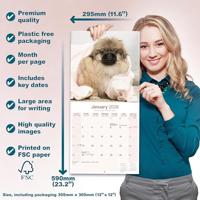 Pekingees Kalender 2026 - thumbnail
