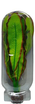 Easy Plant Hoog 30 Cm Nr. 18 aquaria Superfish - Superfish