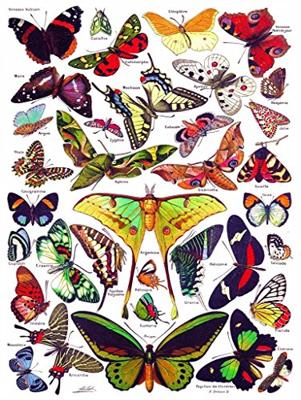 New York Puzzle Company Butterflies~Papillons - 1000 stukjes
