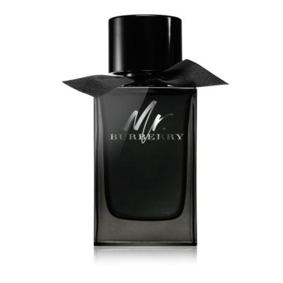 Burberry Mr. Burberry Eau de Parfum 100ml