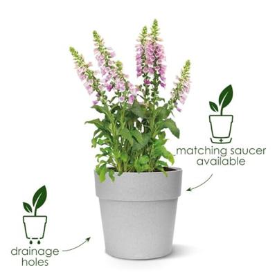 Elho Vibia Campana straight bloempot rond 25 cm antraciet - thumbnail