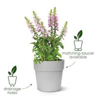 Elho Vibia Campana straight bloempot rond 47 cm living concrete - thumbnail