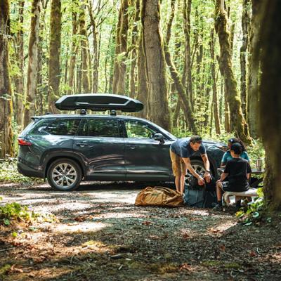 THULE Roof box force 3 l sport black
