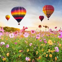 Anna&apos;s Collection Buitencanvas luchtballonnen 78x78cm - thumbnail