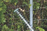 Metabo Heggenschaar HS 8765 608765000 - thumbnail