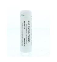 Homeoden Heel Urtica urens D12 6 Gram - thumbnail