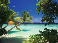 Malediven 70x50cm Tuinschilderij Customize-it - Customize it - thumbnail