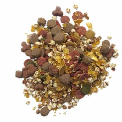Bf Petfood Biofood diner