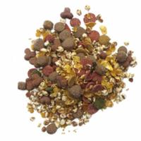 Bf Petfood Biofood diner - thumbnail