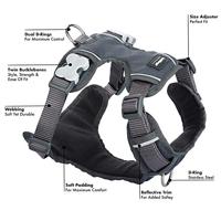 Hondentuigje Red Dingo Gestoffeerd Grijs Maat XL - thumbnail