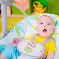 Schommelstoel Ingenuity Compact portable swing Multicolour dieren - thumbnail